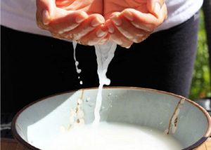 Cách trị mụn ở tuổi 12, 13, 14 an toàn và phù hợp với lứa tuổi 7 Uống rau má mỗi ngày không chỉ giúp da sáng mà còn trị mụn tốt