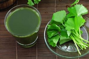 Cách trị mụn ở tuổi 12, 13, 14 an toàn và phù hợp với lứa tuổi 9 Vitamin E, A có trong đu đủ sẽ loại bỏ những nốt mụn dễ dàng