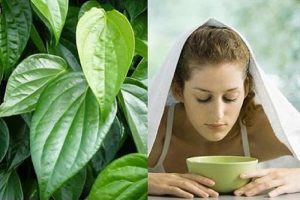 Cách trị mụn ở tuổi 12, 13, 14 an toàn và phù hợp với lứa tuổi 15 Loại bỏ mụn tuổi 12 với cà chua