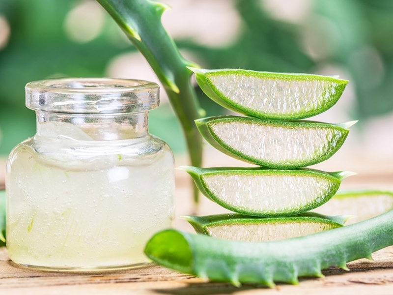 Lá nha đam chứa nhiều gel, giúp dưỡng ẩm và bảo vệ da khỏi các tác động từ môi trường bên ngoài