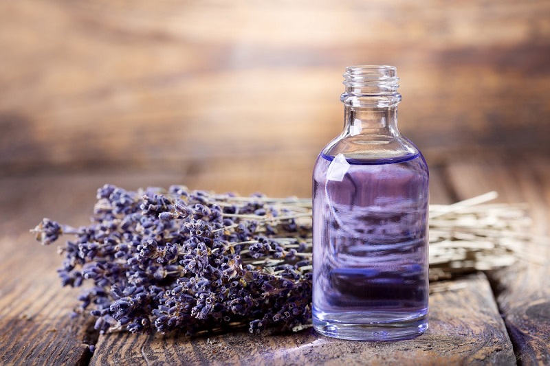 Tinh dầu lavender giúp vùng da bikini dịu, giảm tấy đỏ và giúp lông mọc thưa, nhạt hơn