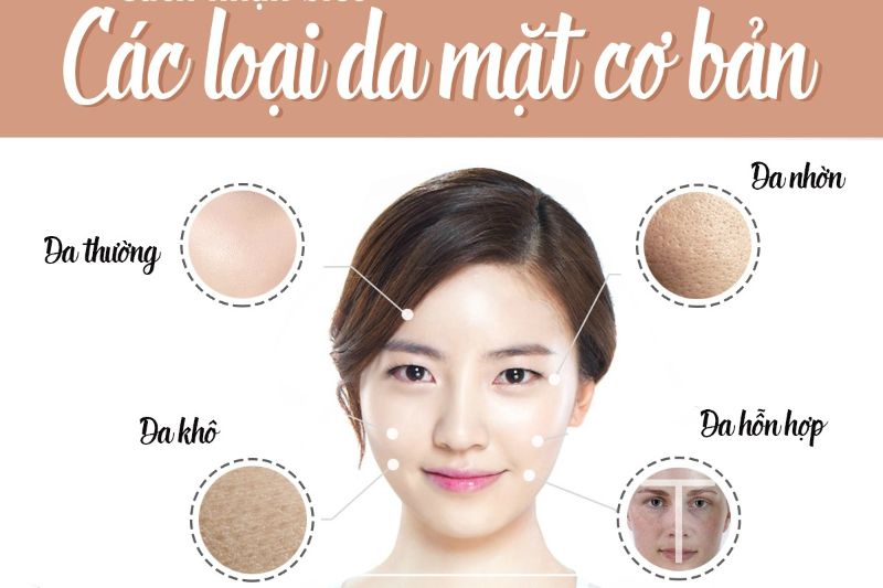 Có 4 loại da cơ bản