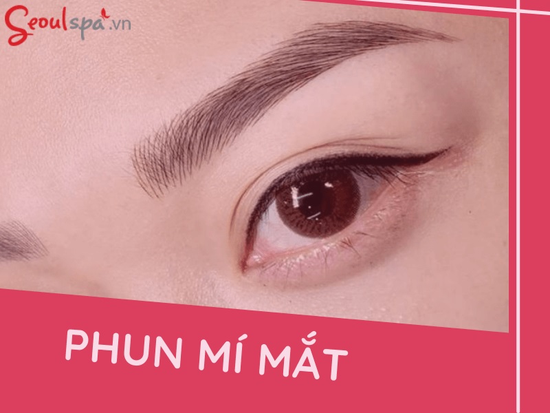 Seoul Spa cung cấp dịch vụ phun mí chuyên nghiệp