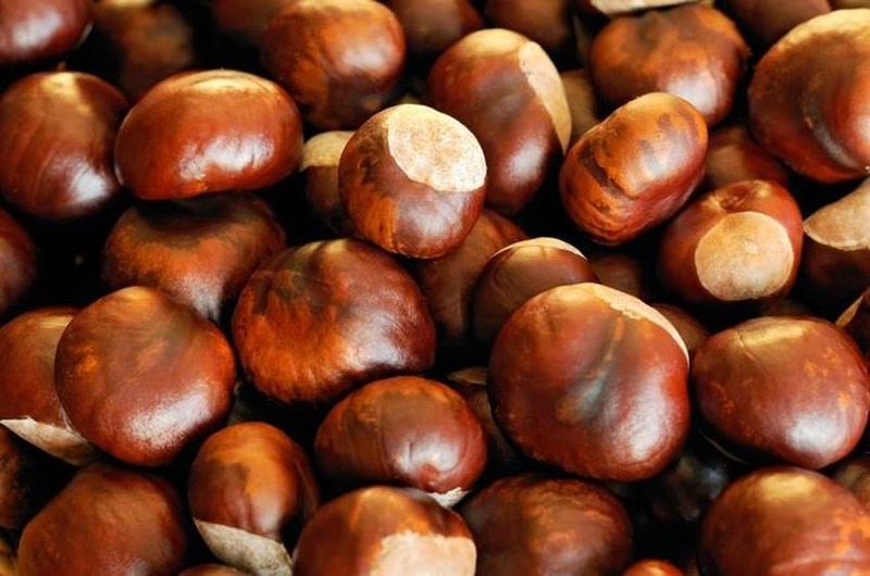 Top 20+ 100G Hạt Bí Chứa Bao Nhiêu Calo Hạt dẻ bao nhiêu calo? Ăn hạt dẻ có giảm cân không? 28 Hiệu quả tốt nhất là chỉ nên ăn khoảng 10 hạt dẻ mỗi ngày