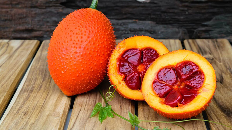 Top 20+ Cong Dung Cua Dau Gac Trong Lam Dep Dầu gấc trị mụn và làm mờ vết thâm - Top 7 cách hiệu quả 21 Công dụng dầu gấc trị mụn và làm mờ vết thâm