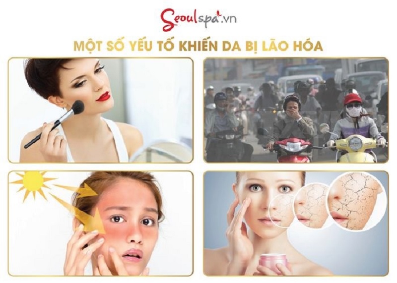 Top 20+ Khoẻ Massage Quận 3 Hồ Chí Minh Spa massage mặt ở đâu tốt tại TpHCM - Seoul Spa 25 Bụi và ô nhiễm có hại cho làn da của bạn