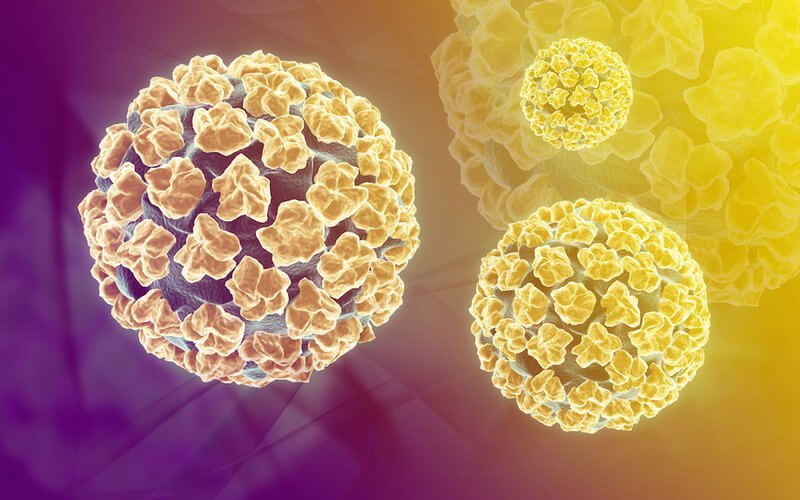 Nguyên nhân tạo ra mụn cơm chính là nhiễm virus HPV