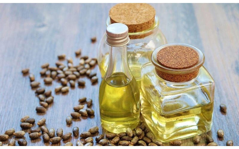 Thầu Dầu là lựa chọn tẩy nốt ruồi trên môi an toàn và hiệu quả tại nhà