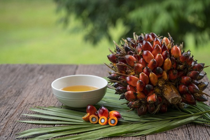 Sử dụng dầu cọ để tẩy nốt ruồi trên vai phải