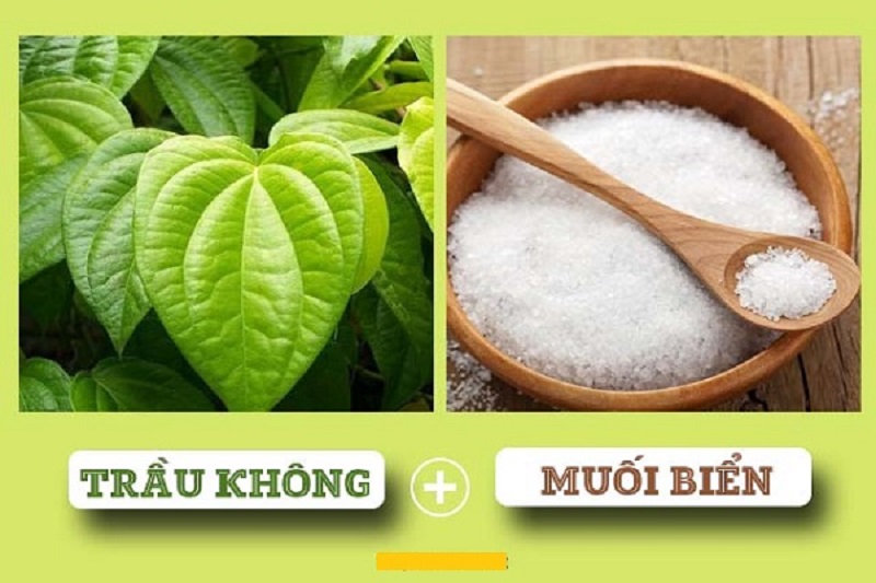 Trầu không và muối biển là sự kết hợp tạo ra mặt nạ loại bỏ nốt mụn