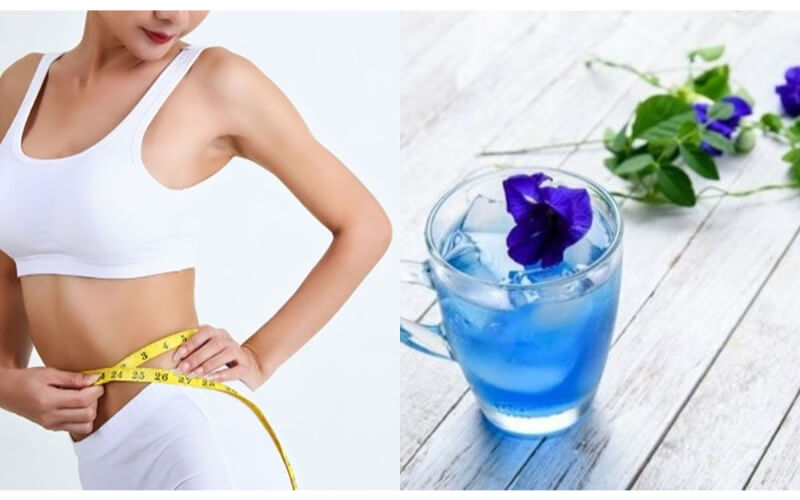 Top 20+ Uống Nước Hoa Đậu Biếc Có Tác Dụng Gì Cách pha trà hoa đậu biếc giảm cân hiệu quả và nhanh chóng ngay tại nhà 36 Tùy vào cơ địa mà thời gian hiệu quả sẽ biểu hiện khác nhau