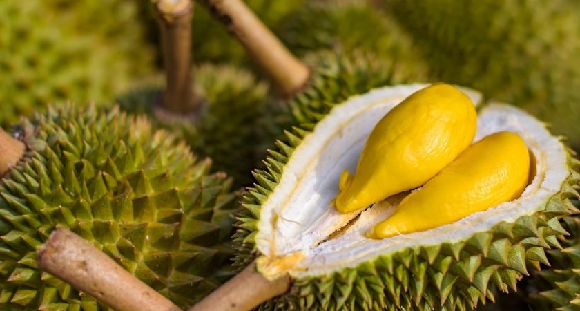 Lượng calo và chất béo trong sầu riêng sẽ khiến bạn tăng cân mất kiểm soát