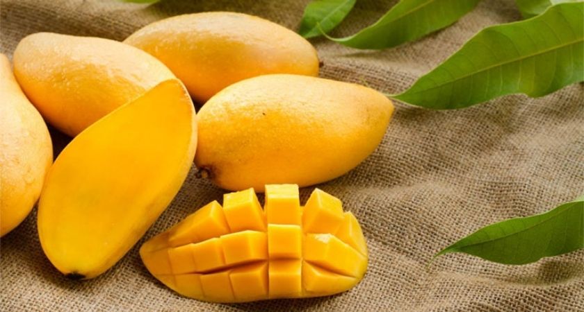 Xoài càng chín thì lượng đường càng tăng