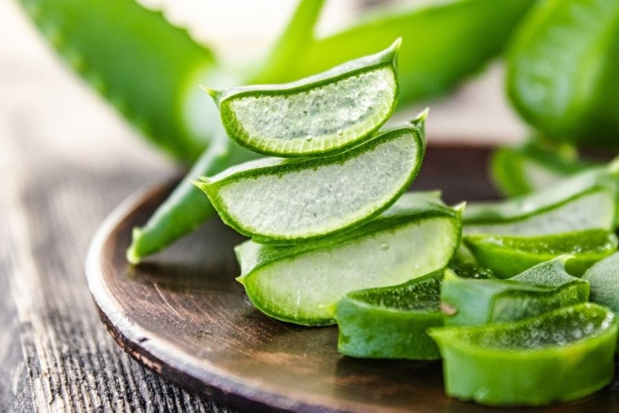 Nha đam được xem là thần dược giúp da tươi trẻ và chống lão hóa