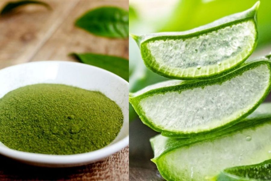 Nha đam kết hợp trà xanh giúp giảm viêm nhiễm, da khỏe mạnh hơn