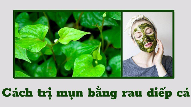 Top 20+ Cách Trị Mụn Đầu Trắng Ẩn Dưới Da Cách trị mụn đầu trắng ẩn dưới da siêu hiệu quả bằng tự nhiên 63 cách trị mụn đầu trắng ẩn dưới da từ Rau diếp cá