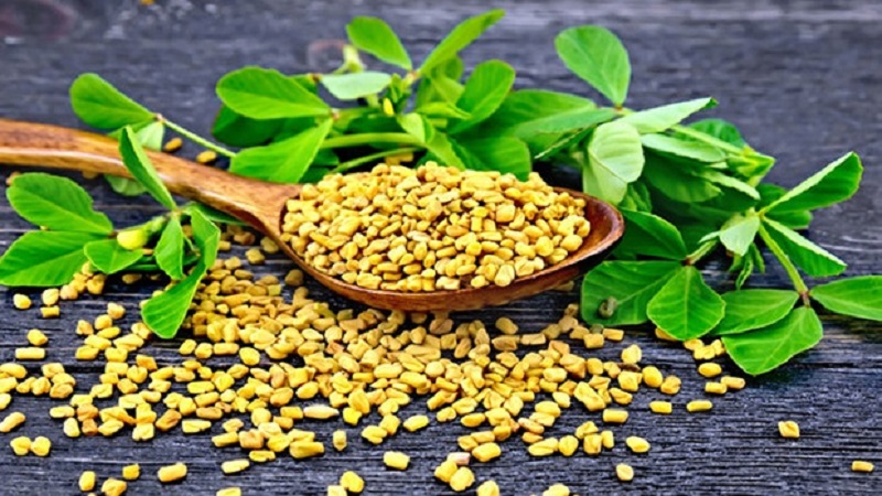 Nước cỏ cà ri giàu chất xơ và chất chống oxy hóa tốt cho gan