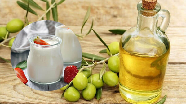 Sữa tươi cùng dầu oliu