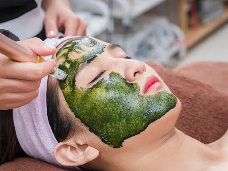 Vi kim tảo biển đòi hỏi kỹ thuật và tay nghề cao