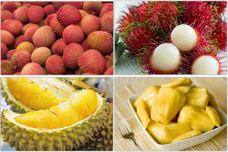 Kiêng ăn các loại trái cây có tính nóng và hàn