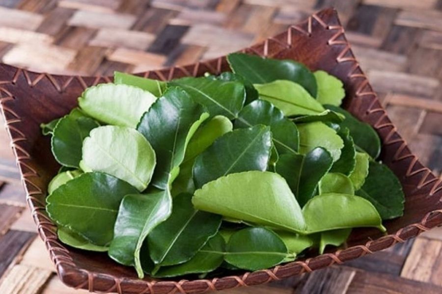 Trong lá bưởi có nhiều dưỡng chất giúp làm mờ các nếp nhăn do lão hóa gây ra