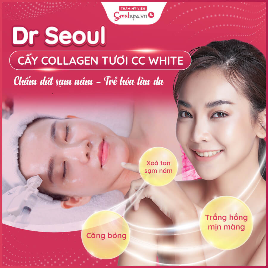 Top 20+ Đắp Mặt Nạ Bơ Mỗi Ngày Có Tốt Không Top 12 cách đắp mặt nạ bơ trắng da dễ làm, tiết kiệm chi phí 53 Công nghệ cấy collagen tươi CC White giúp da trắng hồng mịn màng, mờ nám, tàn nhang, và làm căng bóng da chỉ có tại Seoul Spa
