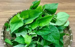 Rau diếp cá giúp điều trị mụn hiệu quả