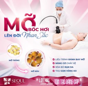 Phương pháp giảm béo tại Seoul Center giúp loại bỏ mỡ thừa, thu gọn vòng eo