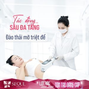 Thẩm mỹ viện SeoulSpa.Vn cung cấp dịch vụ giảm béo chất lượng cao