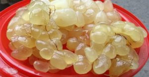 Mỡ trăn có khả năng kháng viêm, kháng khuẩn mạnh mẽ