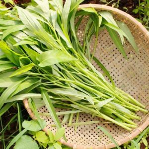 Tìm hiểu về vấn đề bị mụn có nên ăn rau muống không? Nên bổ sung những thực phẩm gì khi bị mụn?