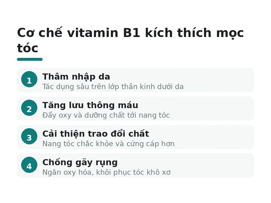Tại sao vitamin b1 có thể giúp kích thích mọc tóc?