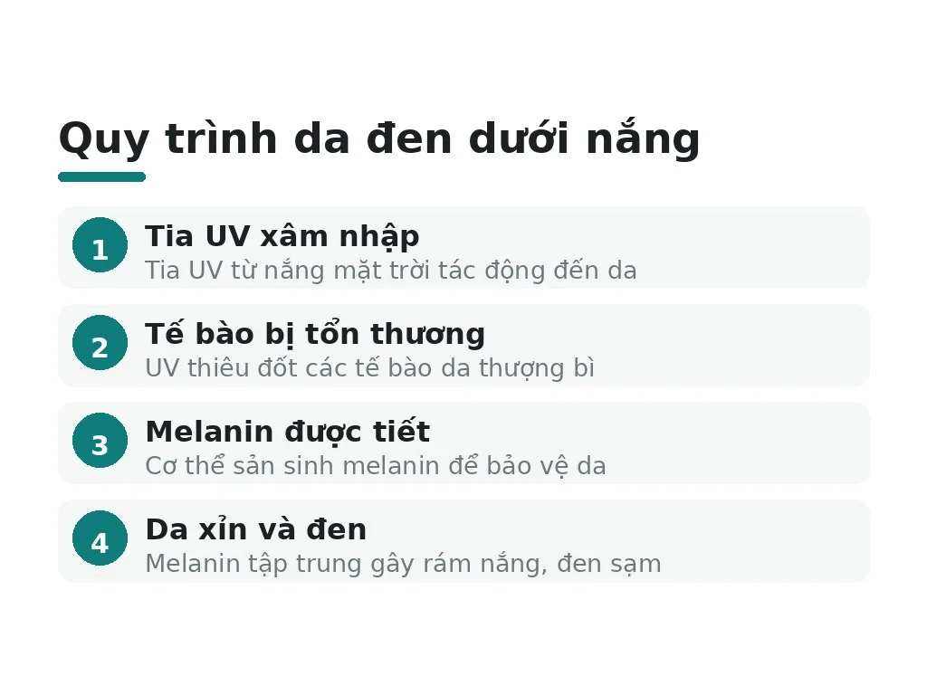 Tại sao đi nắng lại đen da?