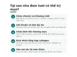 Tại sao nha đam tươi có thể trị mụn?