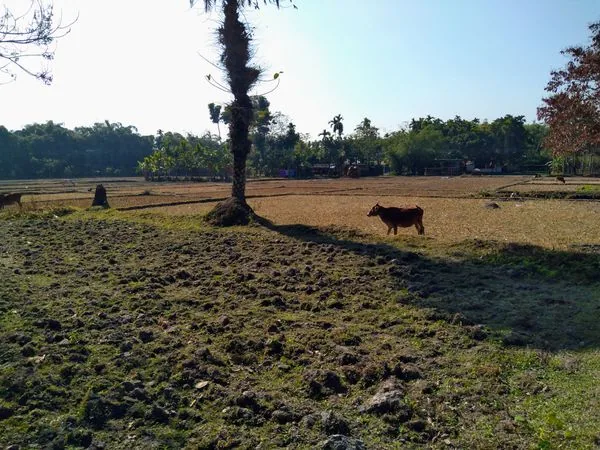 Phun xăm chân mày tại phòng khám làm đẹp chuyên nghiệp