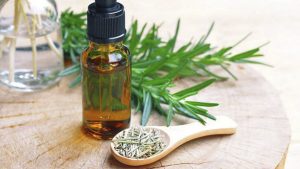 Tinh dầu hương thảo có đặc tính oxy hóa chống lão hóa hiệu quả