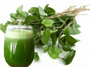 Rau diếp cá chứa nhiều hoạt chất kháng khuẩn, kháng viêm hỗ trợ điều trị mụn