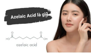Azelaic Acid có tính chất kháng khuẩn, giúp ngăn chặn sự phát triển của vi khuẩn gây mụn