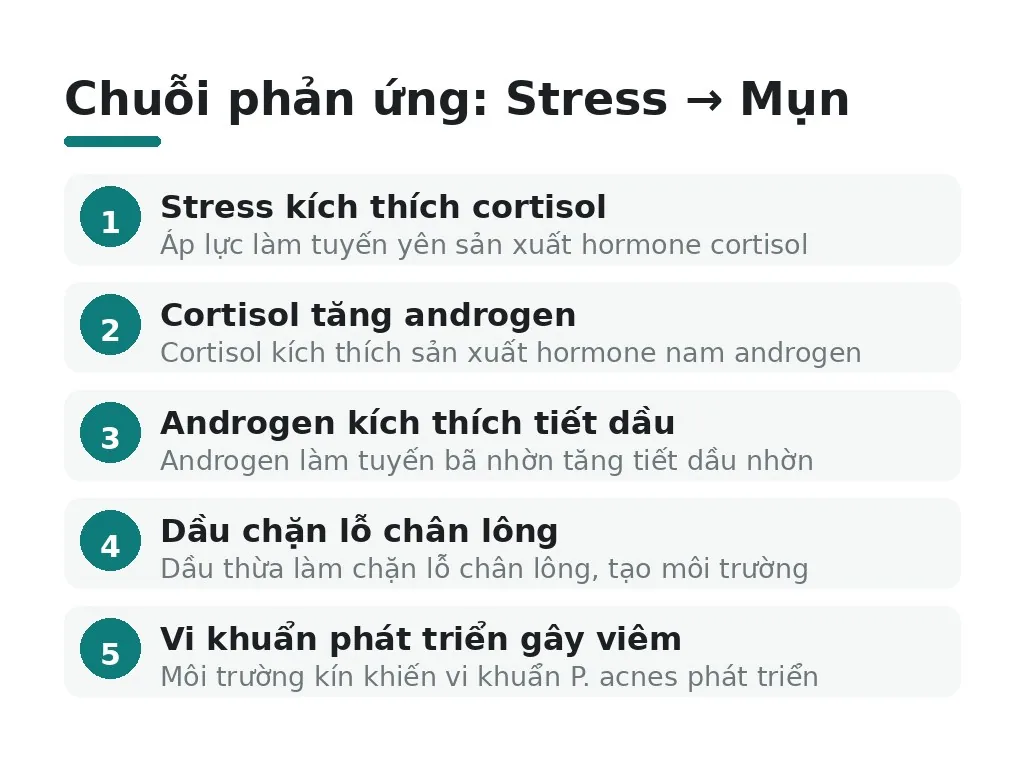 Vì sao stress ảnh hưởng đến các vị trí cụ thể trên mặt?