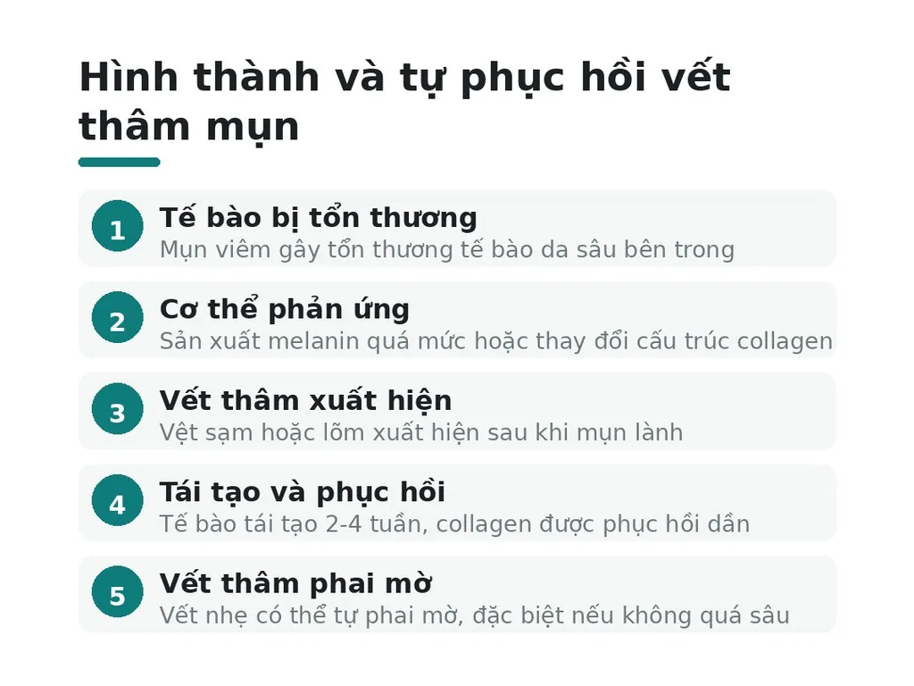 Vết thâm mụn hình thành và tự phục hồi như thế nào?