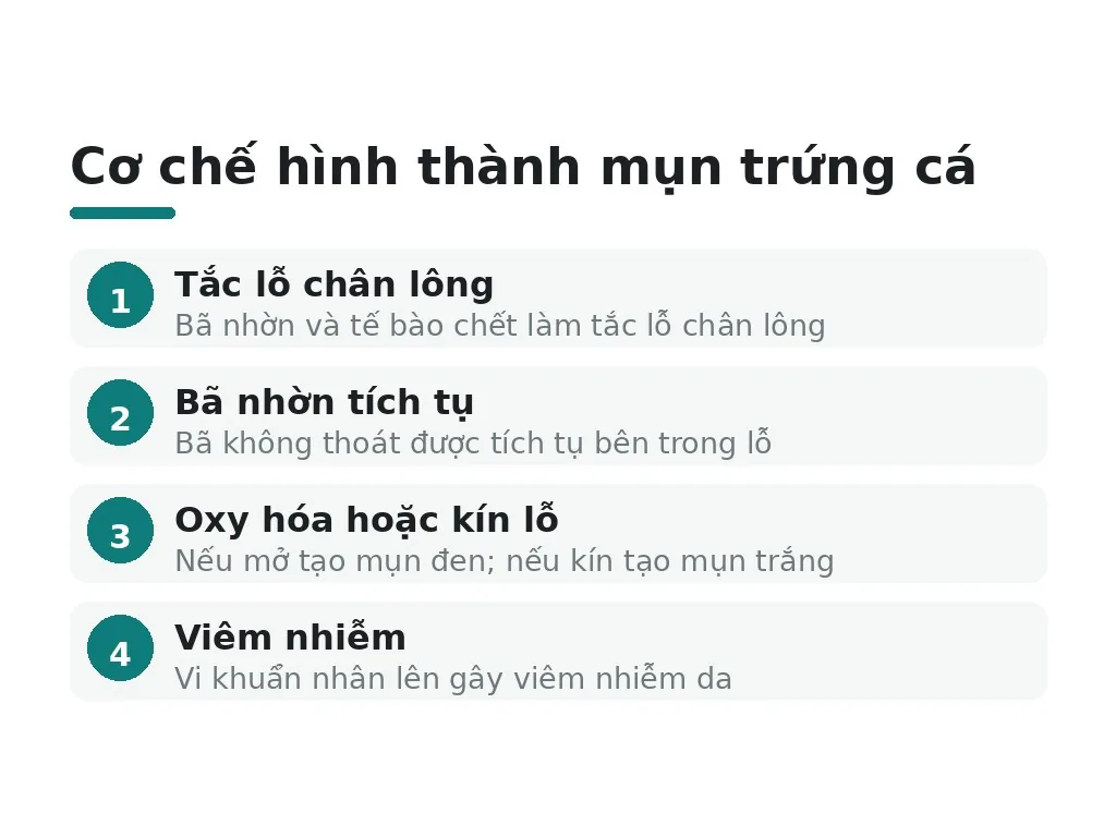 Mụn trứng cá là gì và tại sao nó xuất hiện?