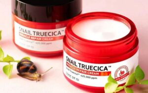 Chất nhầy của ốc sên được sử dụng làm mỹ phẩm dưỡng da