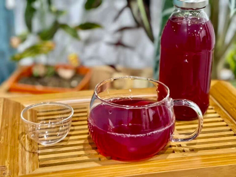 Uống nước lá tía tô giúp làm sáng mịn da từ bên trong