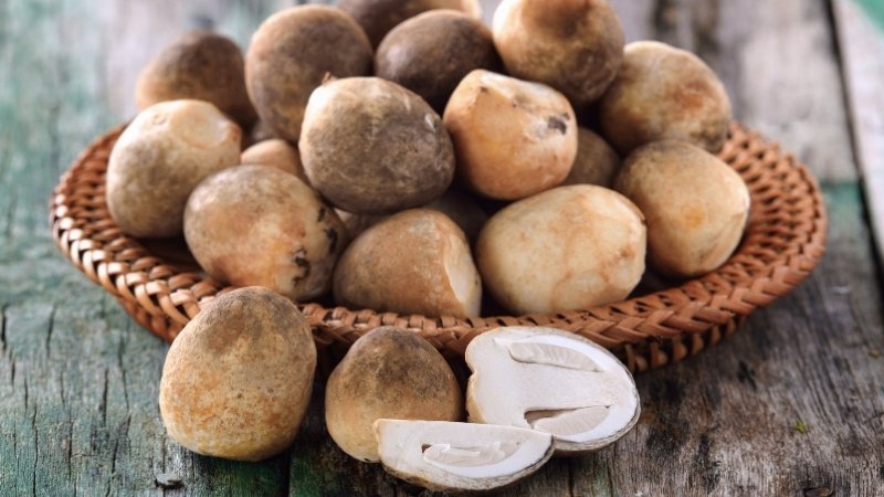 nấm rơm phải được nấu chín kỹ lưỡng, ít nhất là 10 phút ở nhiệt độ cao, để tiêu diệt các vi khuẩn có hại.