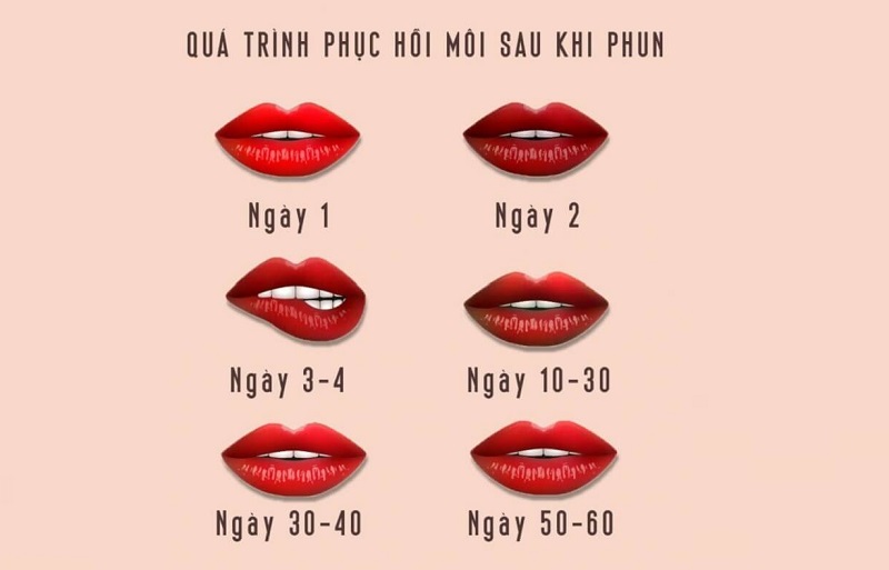 Từ ngày 30 đến 60, màu vẫn có khả năng đậm hoặc sáng thêm chút nữa tùy theo cơ địa của bạn