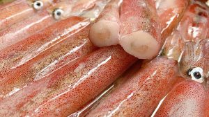 Ăn mực khi bị thương có bị sẹo lồi không?