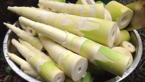 Ăn măng có bị sẹo lồi không là câu hỏi chung của nhiều người