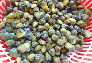 Hến thuộc nhóm hải sản nên kiêng ăn khi bị vết thương hở