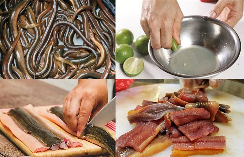 Chế biến lươn kỹ lưỡng trước khi ăn để đảm bảo an toàn