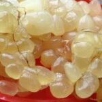 Mỡ trăn có thể dưỡng da rất tốt